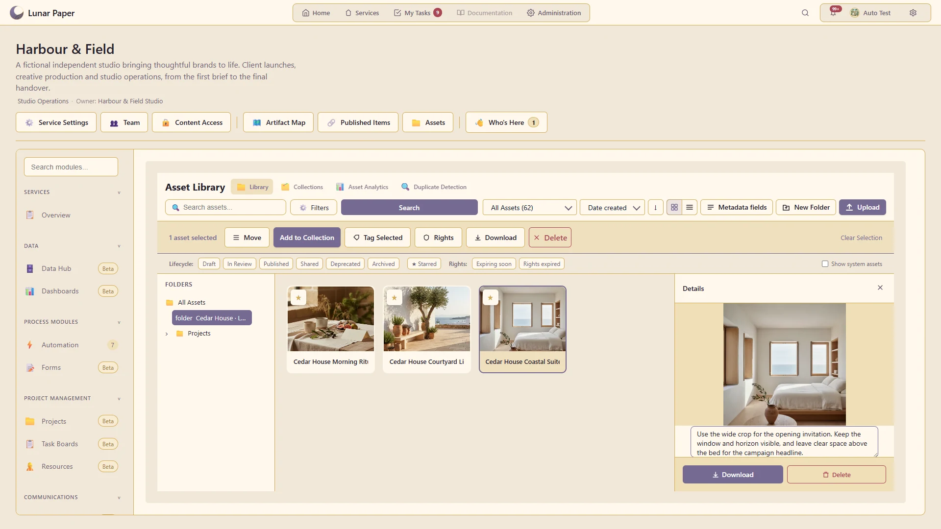 Commenting: Comments attached to an asset.