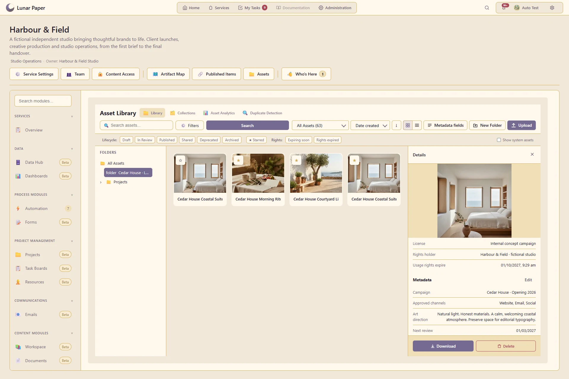 Digital asset management: Structured metadata for an asset.